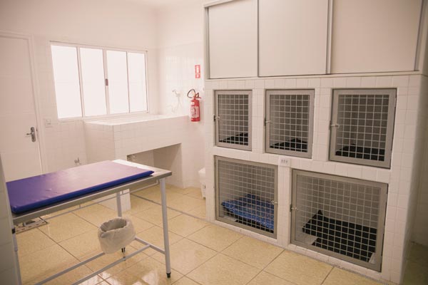 Clinica Cirurgia veterinaria em Campinas